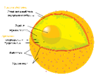 040384wt-77cb-146x117.png
