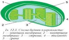 040384wx-f9a6-221x129.png