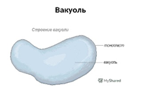 040384x1-3273-207x143.png