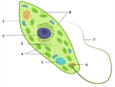 040384xi-fbcc-165x125.png