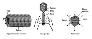040385xx-1fb7-295x126.png