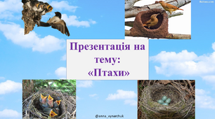 Інтерактивна презентація для дітей 1-4 клас "Птахи"