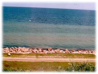 04038af9-1c6b-413x313.png
