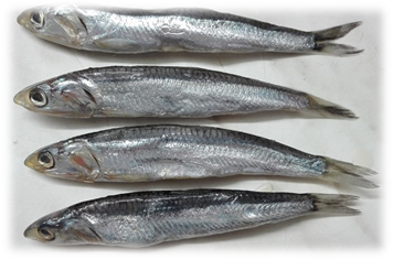04038aks-d63d-356x236.png