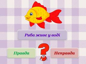 04038bgl-6ccc-287x215.jpg