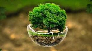 Річна контрольна робота