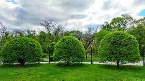 BEAUTIFUL PLACES FOR TRAVELLING (лексика)