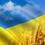Гайдамаченко Наталія Іванівна