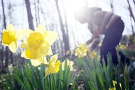 04038ek9-22ed-190x127.jpg