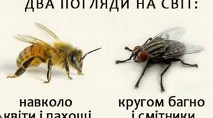 Притча про муху та бджолу
