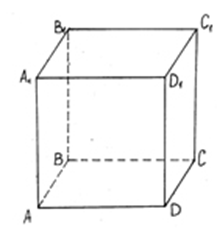 04038hce-de0e-217x229.png