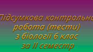 (Копія) Підсумкова контрольна робота для 6 класу за рік