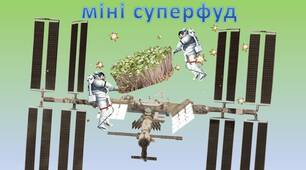 STEM - проект «Міні суперфуд» .