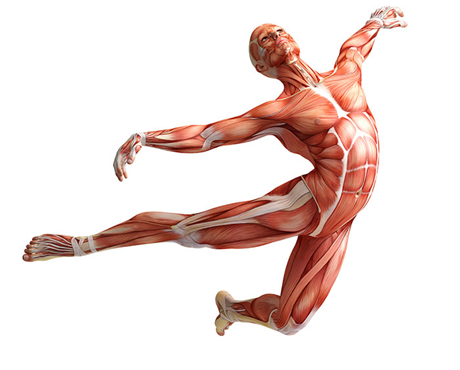04038n4o-3a22-460x370.png