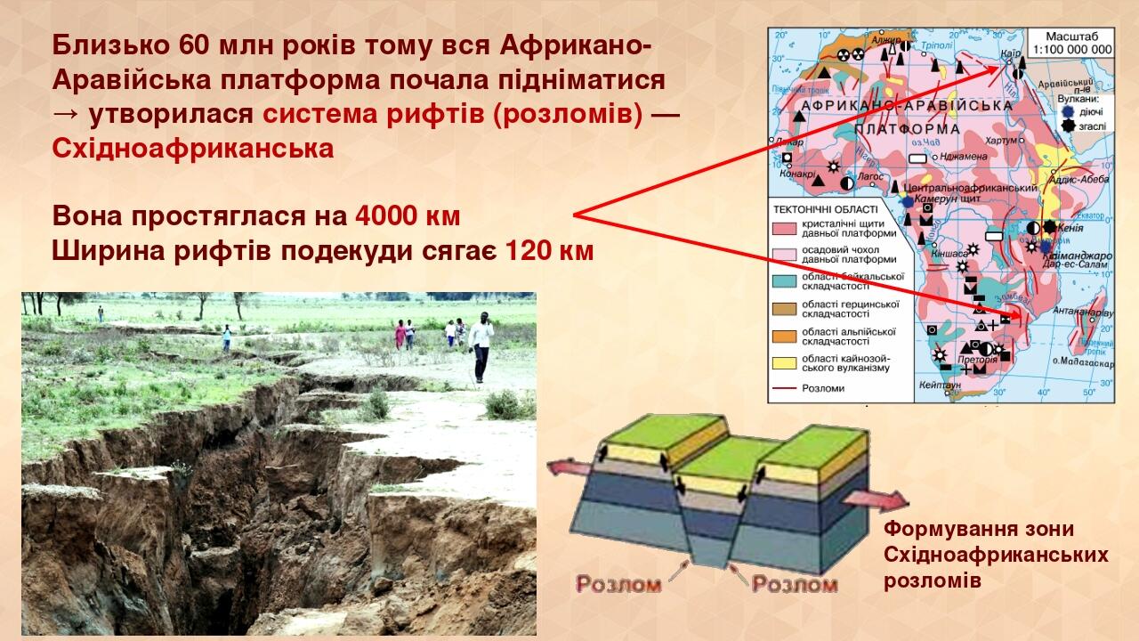 Близько 60 млн років тому вся Африкано-Аравійська платформа почала підніматися → утворилася система рифтів (розломів) — Східноафриканська Вона прос...